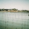 Melota