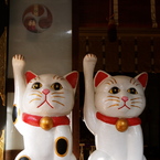 ねこ