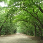 yasuragi