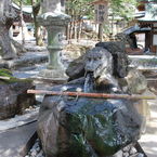 shiromado