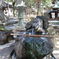 shiromado