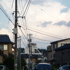 ボロロ族