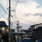 ボロロ族
