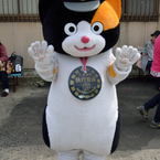 iruka club
