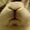 とば