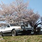 GSR-VR