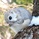 さくよし