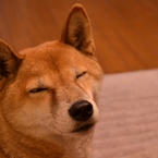 良介