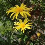 管理栄養士かな