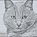 ina