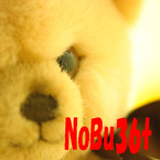 NoBu36T