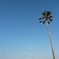 mimatan