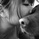 mayuko.n