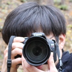 ぶし