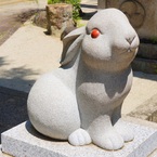 京都写真