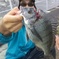 きんちゃん