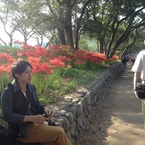 hiropon_n