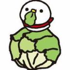 ぴの