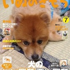 nobuchin1004