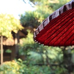 ゴエモン@表参道