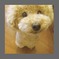 KyanPhoto