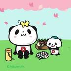 こぁちゃん