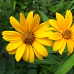 こころは少年オヤジ