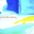 pokke@ねおてに