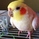 ぺこちゃん