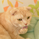 たぼうず