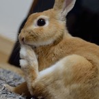 なみぃ
