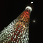 RED SKY TREE