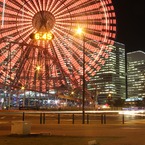 かめお