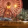 かめお