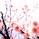 phonic_ryo