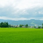 yamashi,