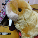 ねおきのヤマネ