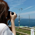 miyabi*ms