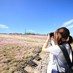 shiho*