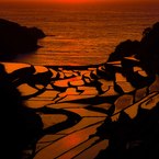 Hiroshi.L.R