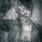 hiromitsu.a