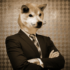 クッキーは犬