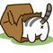 薄荷ねこ