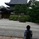 アザラシ