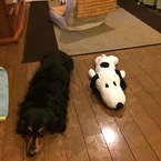 スヌーパー