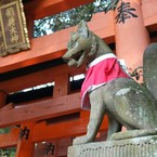 masyakinya